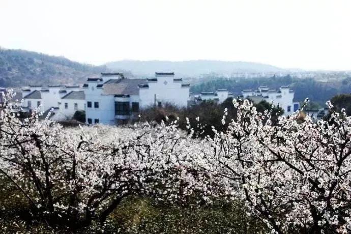 深入学习知识,加入跟蝉有关的诗句知识星球,提升自我